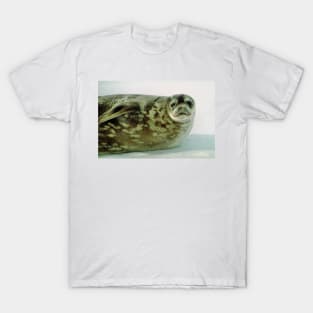 Crabeater Seal, Ross Sea, Antarctica T-Shirt